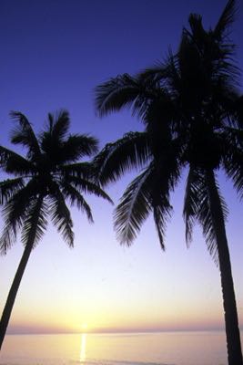 Photo Pg1675 Guadeloupe Coucher De Soleil